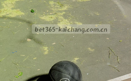 移动同步 数据无缝衔接

手机电脑 文件自动匹配

云端同步 多设备即时更新

跨端协作 信息实时流转